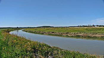 kamouraska river